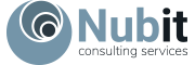 Nubit consulting services